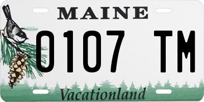 ME license plate 0107TM