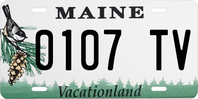 ME license plate 0107TV