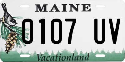 ME license plate 0107UV