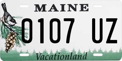 ME license plate 0107UZ