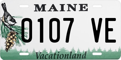 ME license plate 0107VE