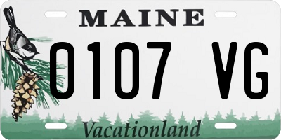 ME license plate 0107VG
