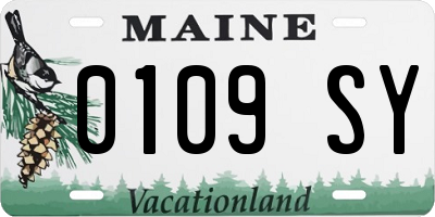 ME license plate 0109SY