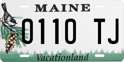 ME license plate 0110TJ