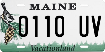 ME license plate 0110UV