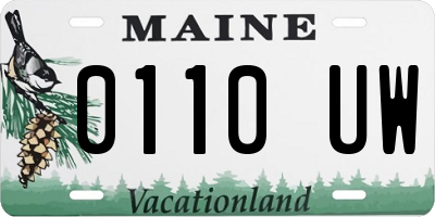 ME license plate 0110UW
