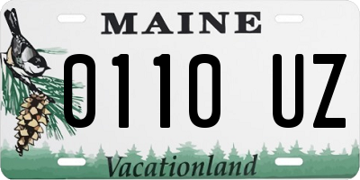 ME license plate 0110UZ