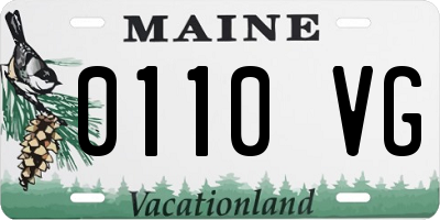 ME license plate 0110VG