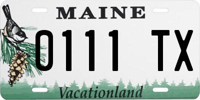 ME license plate 0111TX