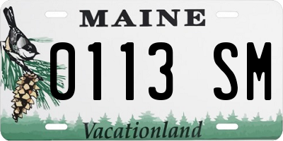 ME license plate 0113SM