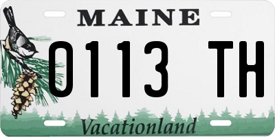 ME license plate 0113TH