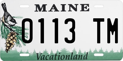 ME license plate 0113TM