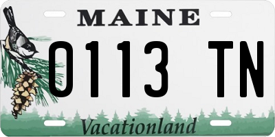 ME license plate 0113TN
