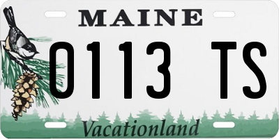 ME license plate 0113TS