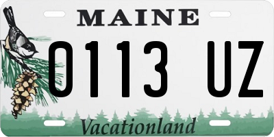 ME license plate 0113UZ