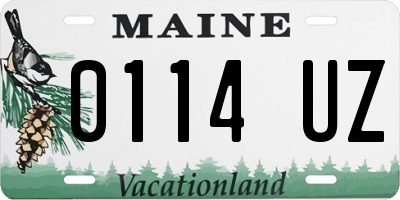 ME license plate 0114UZ