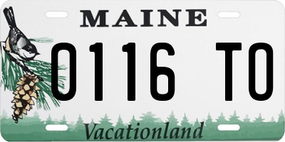 ME license plate 0116TO