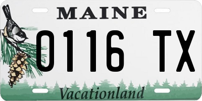 ME license plate 0116TX