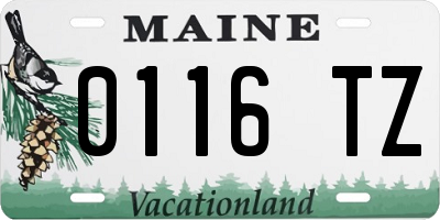 ME license plate 0116TZ
