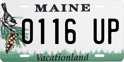 ME license plate 0116UP