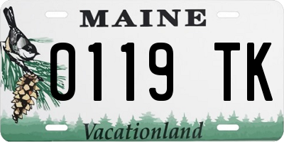 ME license plate 0119TK