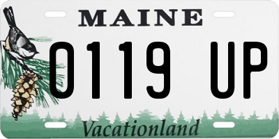 ME license plate 0119UP