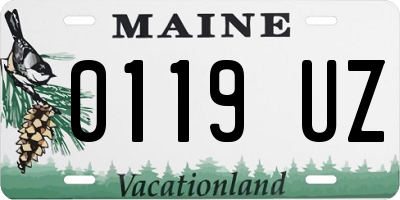 ME license plate 0119UZ