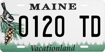 ME license plate 0120TD