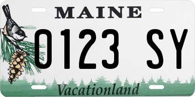 ME license plate 0123SY
