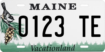 ME license plate 0123TE