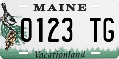 ME license plate 0123TG