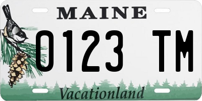 ME license plate 0123TM