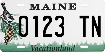 ME license plate 0123TN