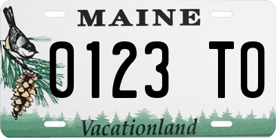 ME license plate 0123TO