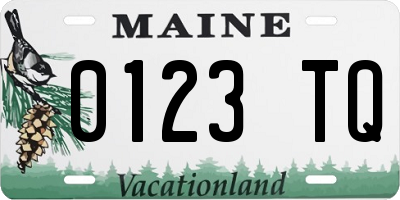 ME license plate 0123TQ