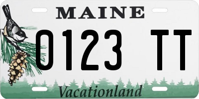 ME license plate 0123TT