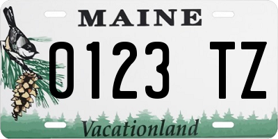ME license plate 0123TZ