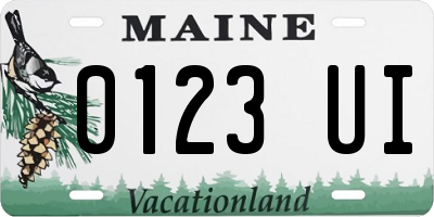 ME license plate 0123UI
