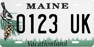 ME license plate 0123UK