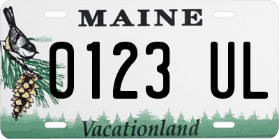 ME license plate 0123UL