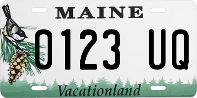 ME license plate 0123UQ