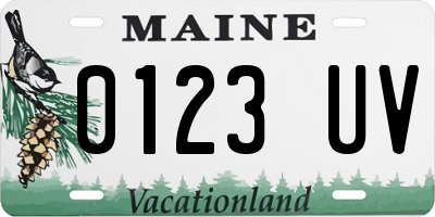 ME license plate 0123UV