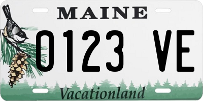 ME license plate 0123VE