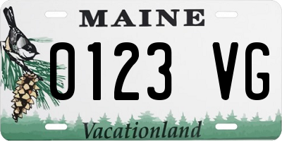 ME license plate 0123VG