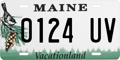 ME license plate 0124UV