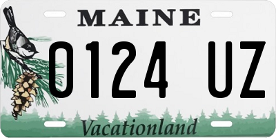 ME license plate 0124UZ