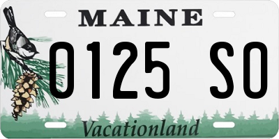 ME license plate 0125SO