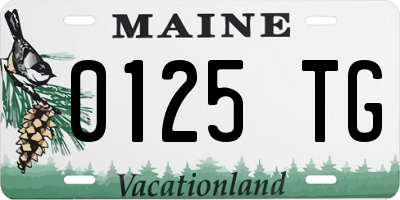 ME license plate 0125TG