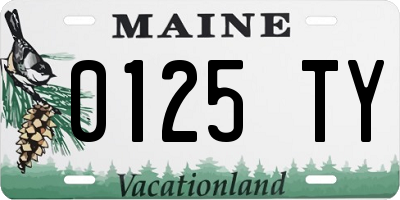 ME license plate 0125TY