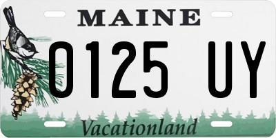 ME license plate 0125UY